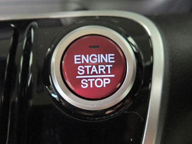 0230024A30260619W00510.jpg