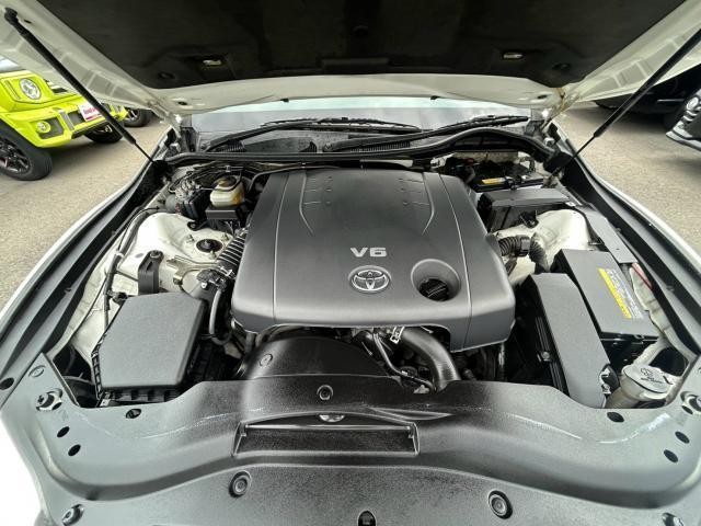 26535244_carP_l_17.jpg