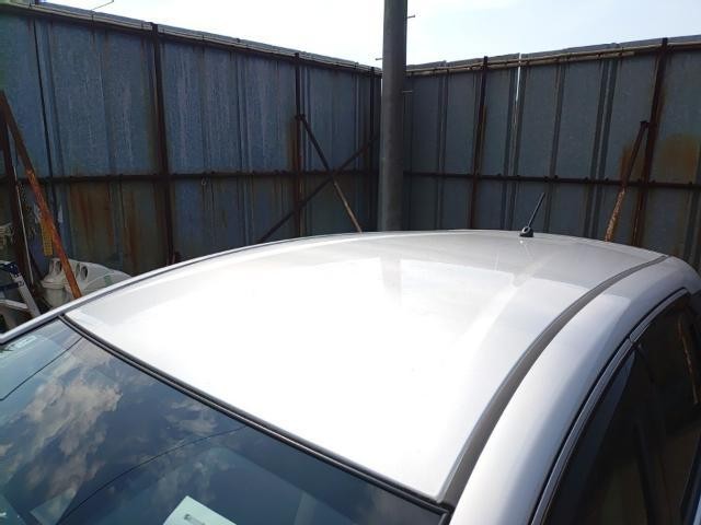 26161537_carP_l_14.jpg