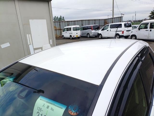 26525961_carP_l_14.jpg