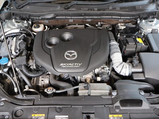0303758A30260730W00119.jpg