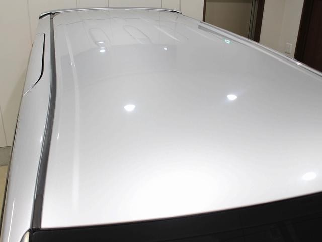 1300954A30260810W00110.jpg