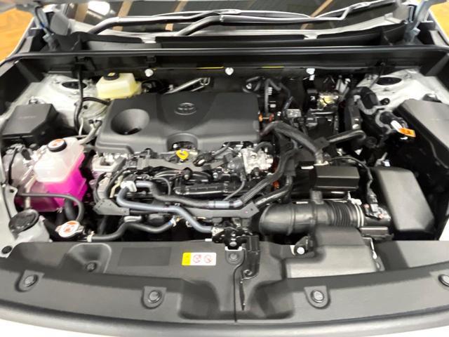 24520958_carP_l_20.jpg