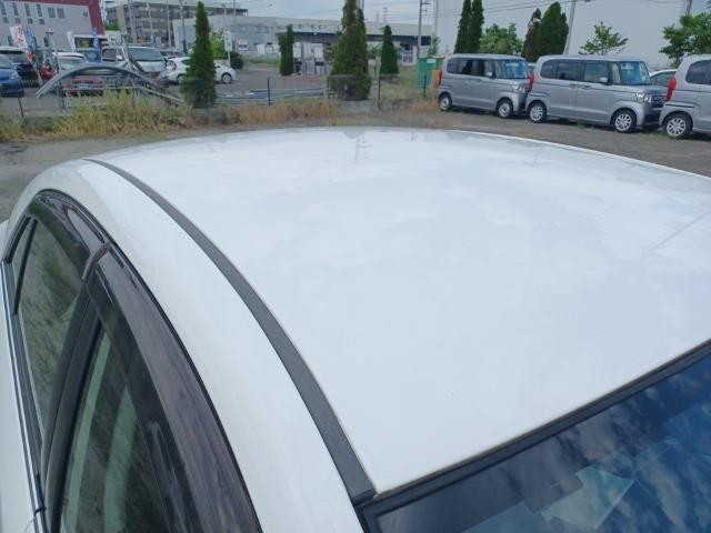 26161556_carP_l_14.jpg
