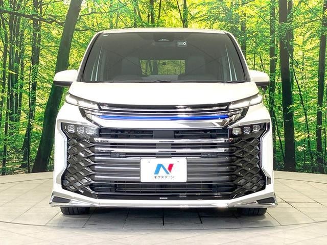 26623534_carP_l_9.jpg