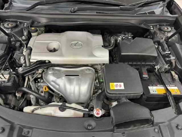 c37667957db21890bb3c099a6b767856.jpeg