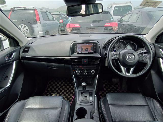 06.jpg