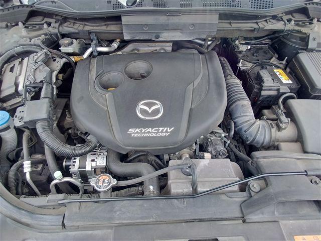 08.jpg