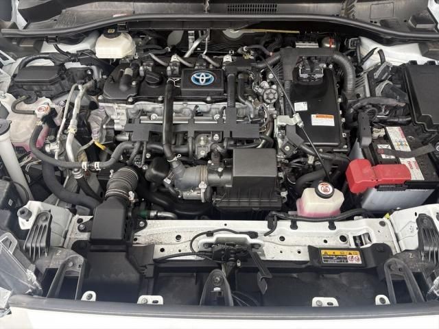 505197231ef0679d71bd43b361fc3c8c.jpg