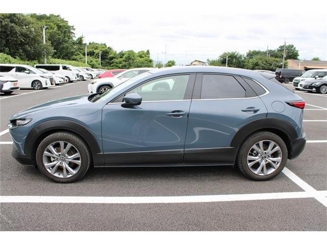 26161665_carP_l_7.jpg