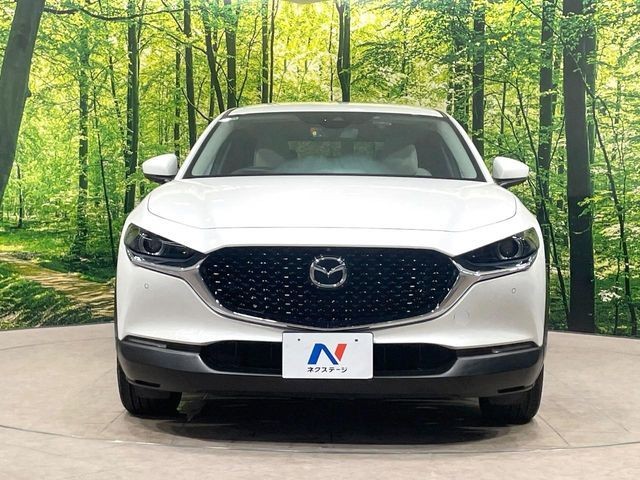 9f12c26be9487da406ad9b9bf6e8e726.jpg