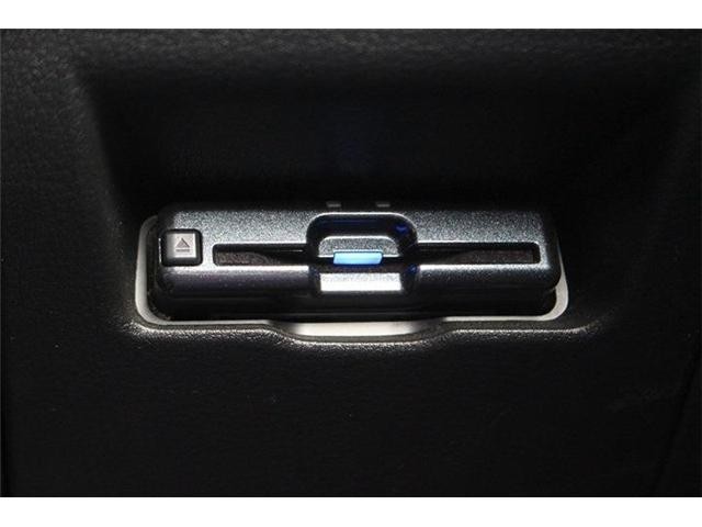 25226071_carP_l_10.jpg