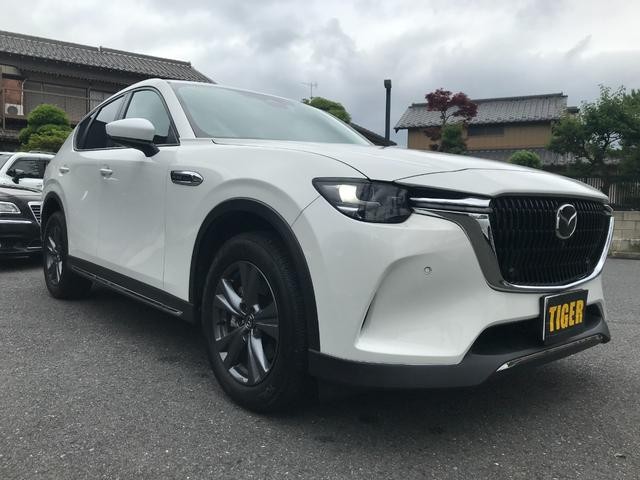 0540939A30260707W00210.jpg