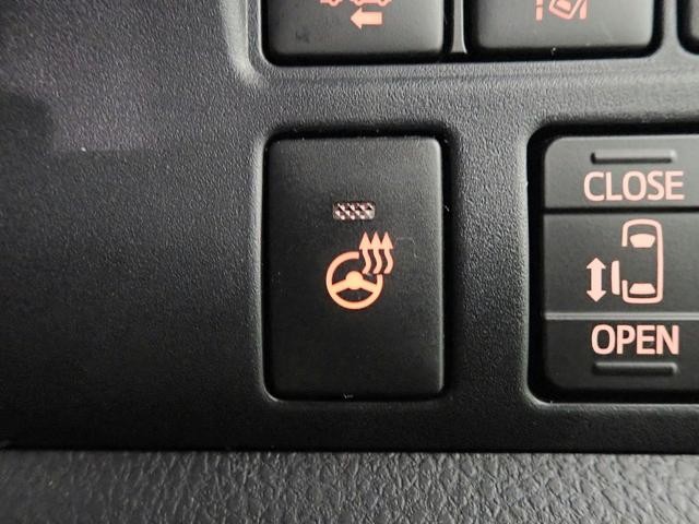 0230024A30260924W00611.jpg