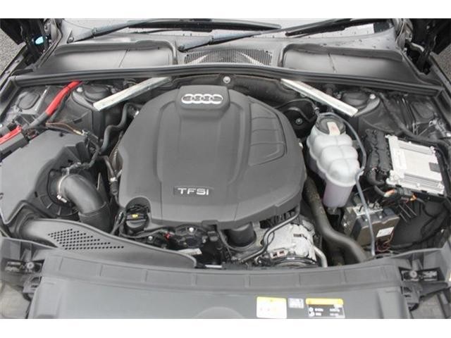 26224511_carP_l_18.jpg