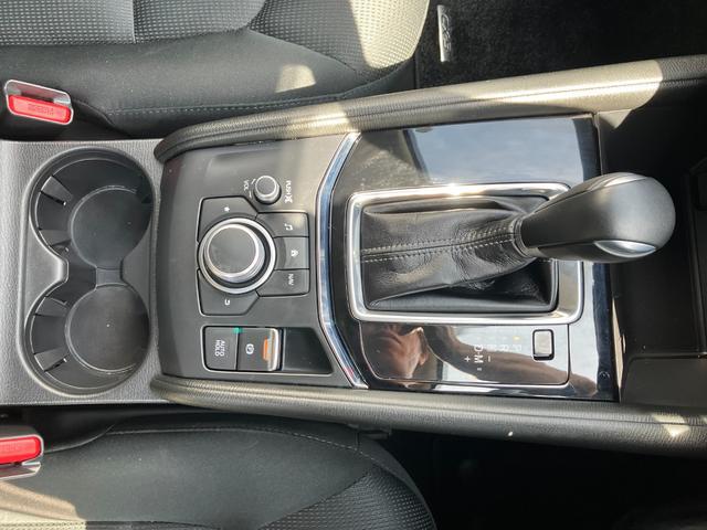 0403594A30260616W00319.jpg