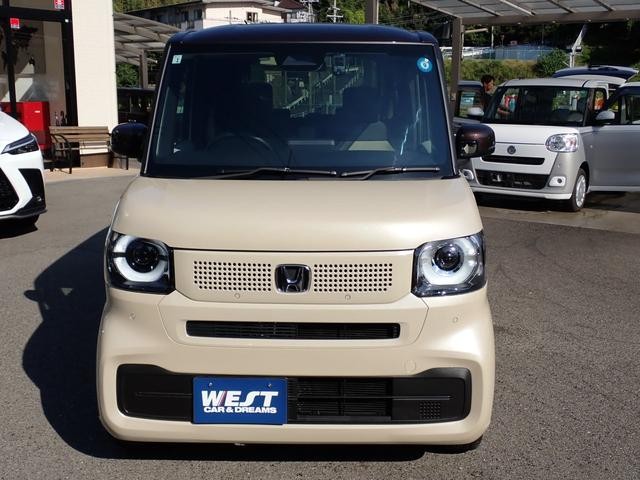 0708382A30261010W00412.jpg