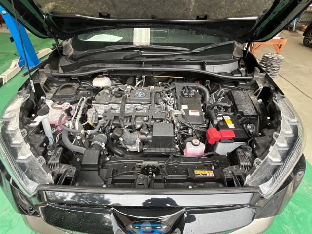 0708946A30260618W00116.jpg