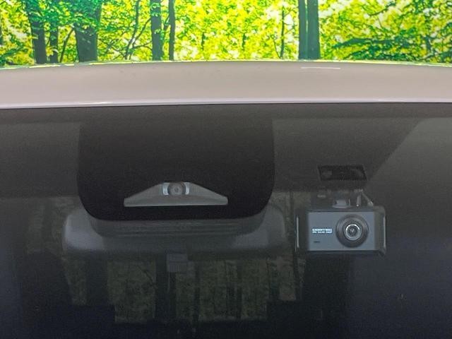 26534369_carP_l_13.jpg