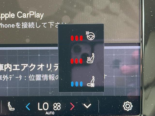 24521733_carP_l_17.jpg