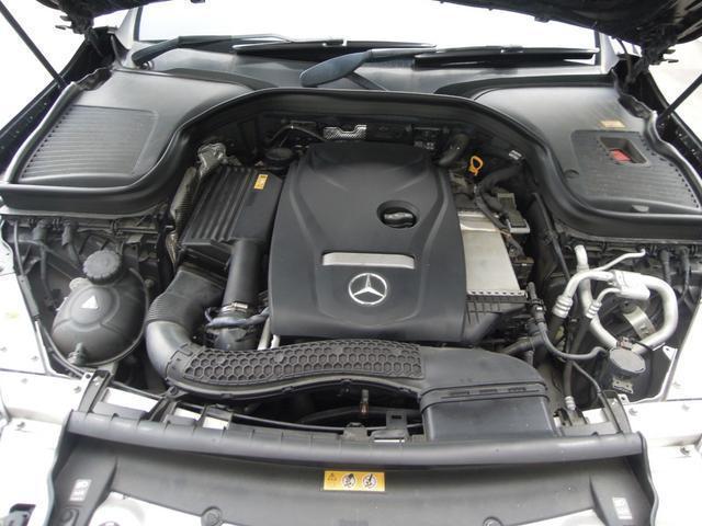 24194757_carP_l_12.jpg