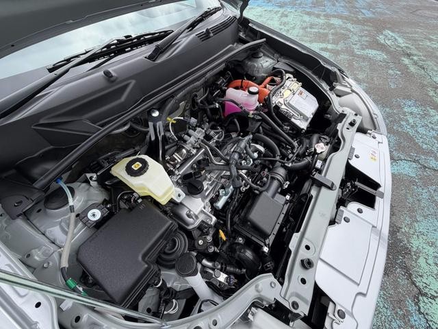 0561213A30260906W00116.jpg