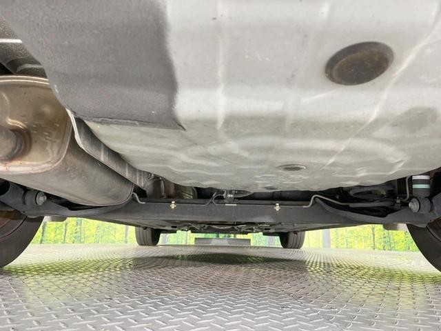 27094393_carP_l_18.jpg