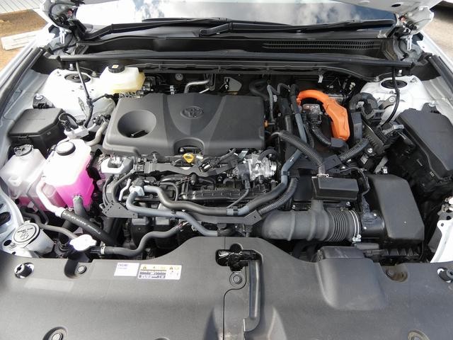 0710176A30261011W00115.jpg