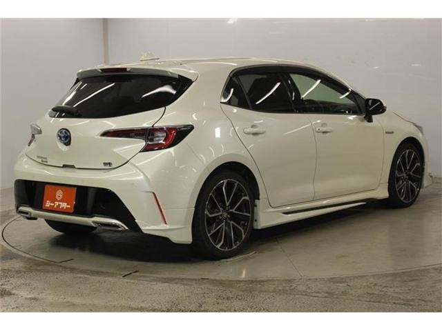 26224519_carP_l_10.jpg