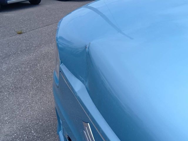 a905b48076558d2db8bbf030d235855a.jpg