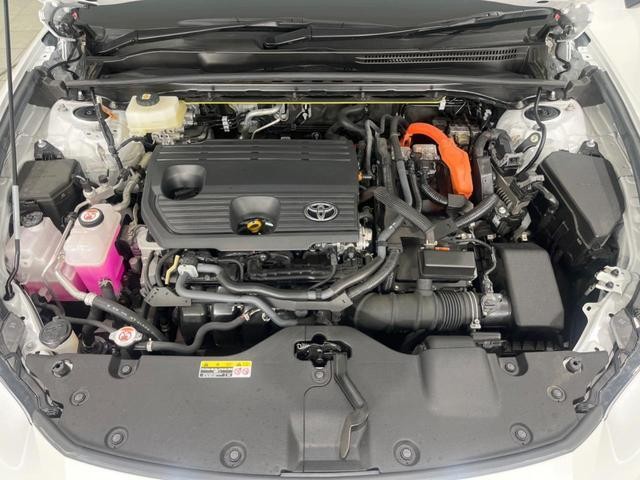 27204645_carP_l_20.jpg