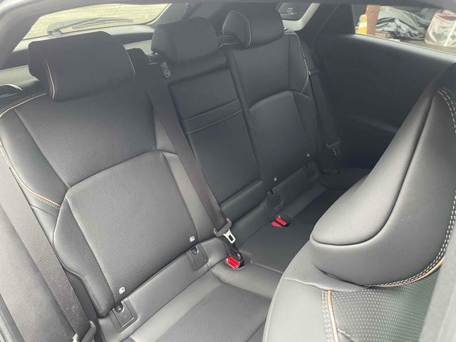 0302923A30260920W00113.jpg