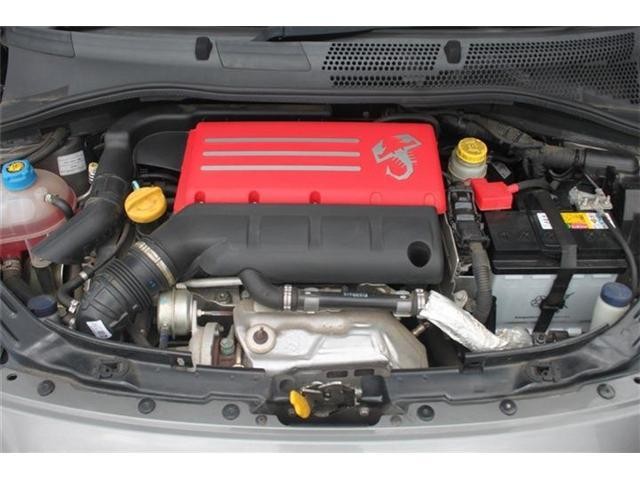 26224520_carP_l_18.jpg