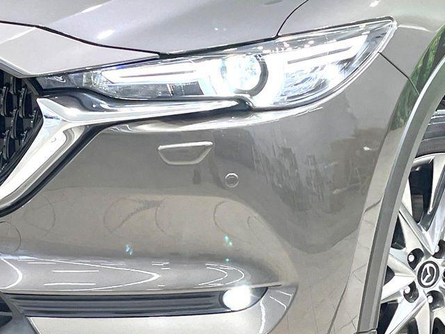 e495feb2c2aa6c14dbf74aec9dea52dc.jpg