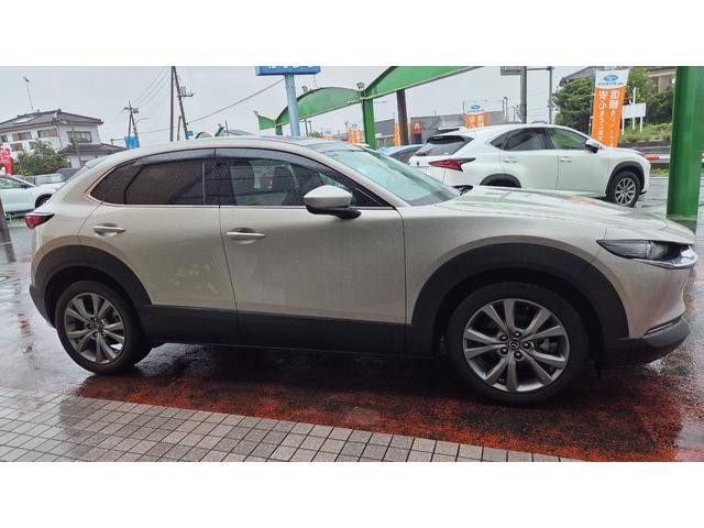 0500723A30260921W00105.jpg