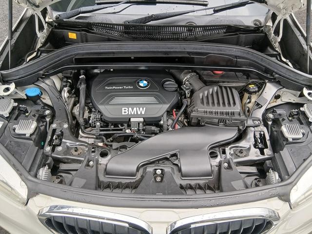 9572574A30260909W00115.jpg