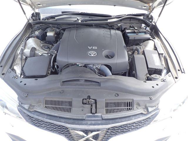 08.jpg