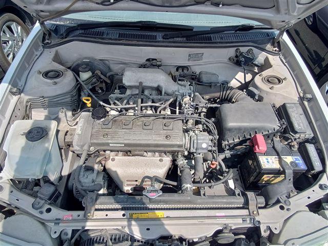 08.jpg