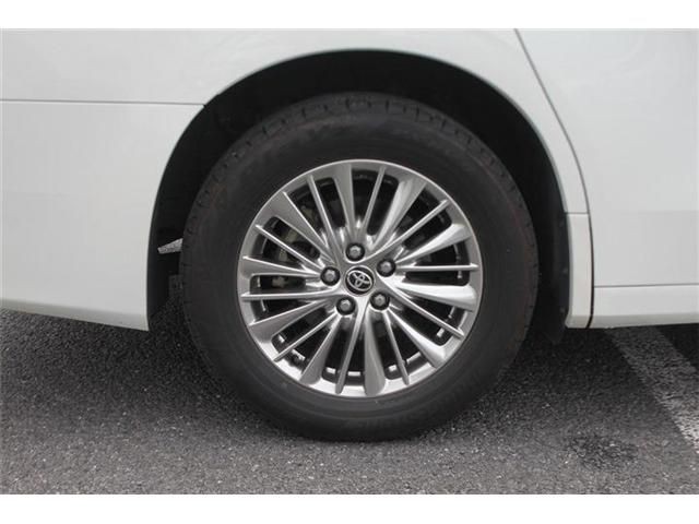092085ebae4bd042ba27a374dc6ff90e.jpg