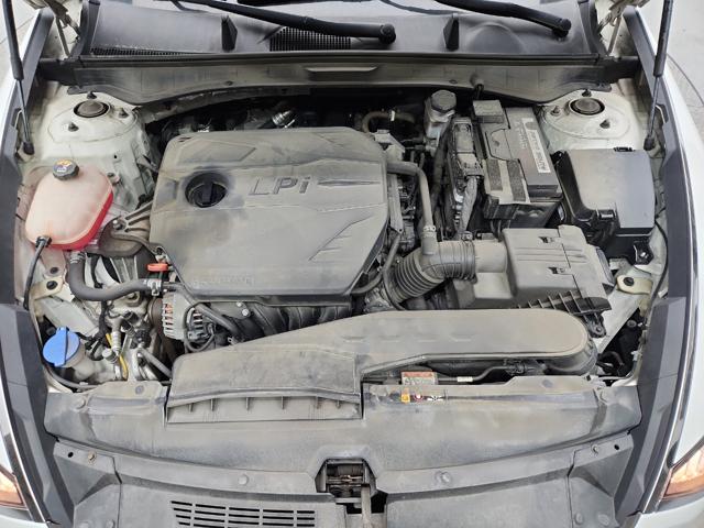lotterental_214705565_l7r3h_4.jpg
