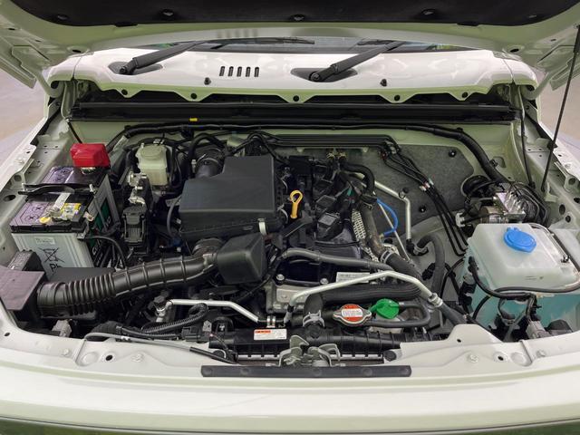 24541499_carP_l_16.jpg