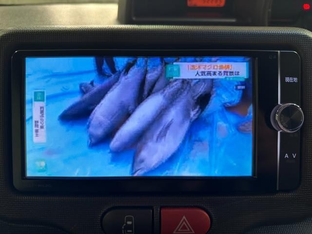 25194780_carP_l_15.jpg