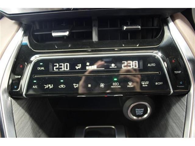 26224536_carP_l_10.jpg