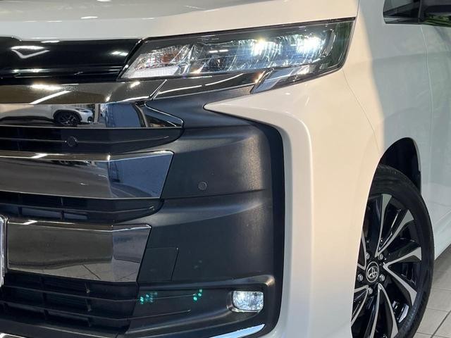 25096228_carP_l_6.jpg