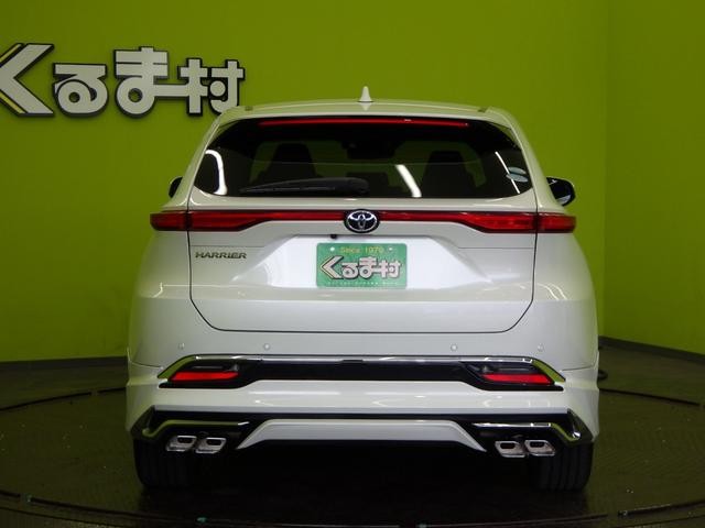 0801343A30260903W00515.jpg