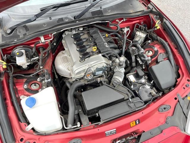 25178992_carP_l_16.jpg