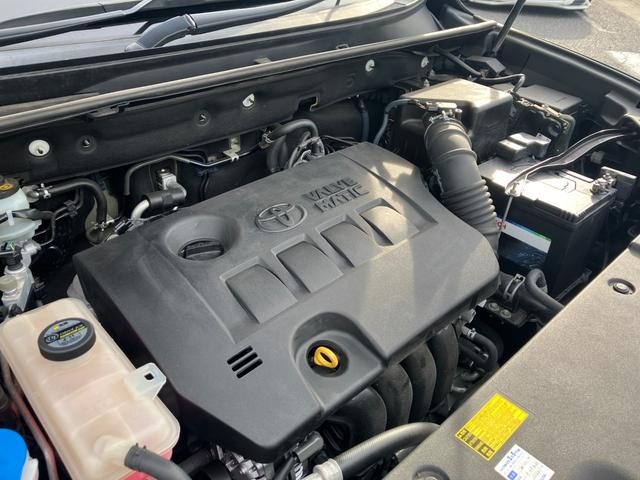 0404113A30261006W00517.jpg