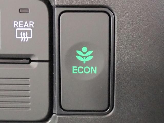 0201999A30260820W00307.jpg