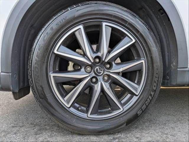 b35cdf72a20ab0b73a169d2ab6fccb0f.jpg