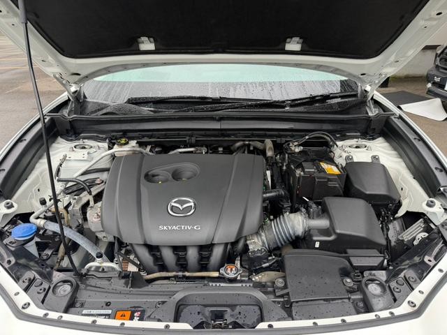 0300810A30261001W00119.jpg